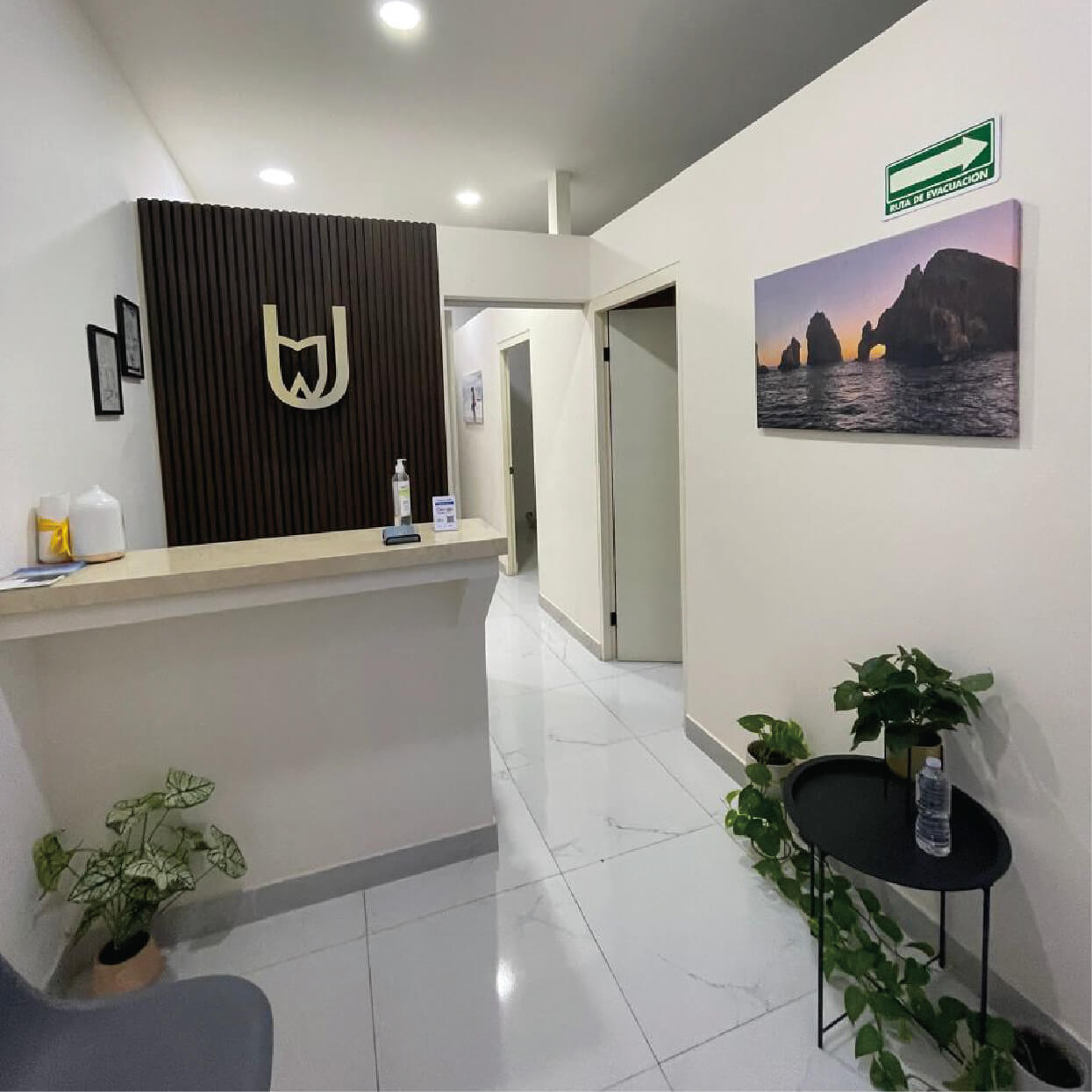 Luxurious interior design and waiting room at Unique Dental, a premium dentist office in Cabo San Lucas.